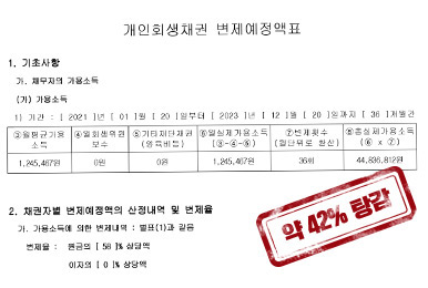 약 42% 탕감